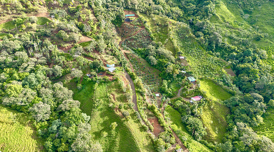 Costa Rica - San Jos? - San Miguel - Las 5 terrazas - Vue Propri?t? - Vue 2
