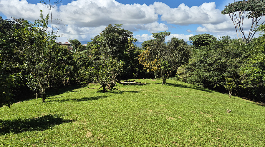 Finquita Santa Marta - GI