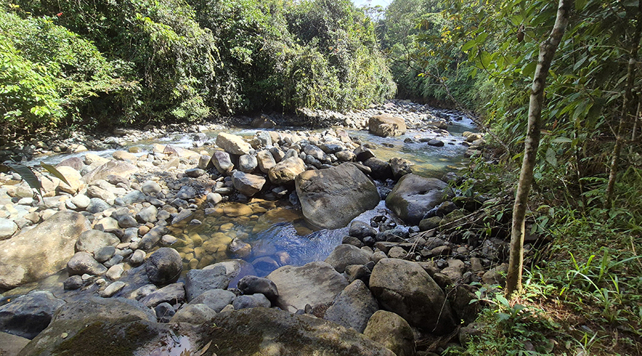 Costa Rica - San Jos? - Santa Marta - Finquita Santa Marta - Terrain - Rivi?re - Vue 1