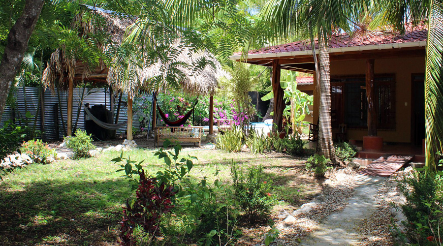 Costa Rica - Samara - Charmante maison rustique - Le jardin - Vue 1