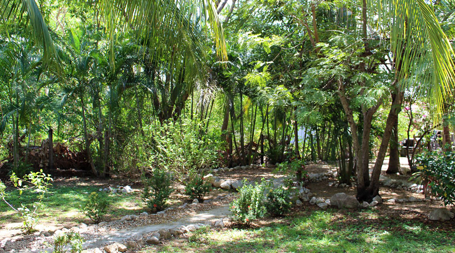 Costa Rica - Samara - Charmante maison rustique - Le jardin - Vue 3