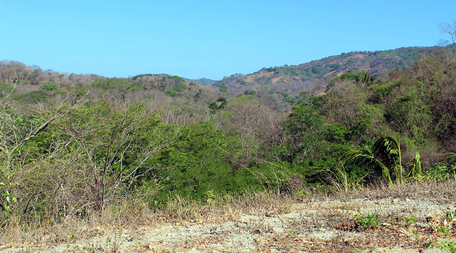 Costa Rica - Guanacaste - Samara - Terrain (finca) de 1.35 hectare - Vue 3