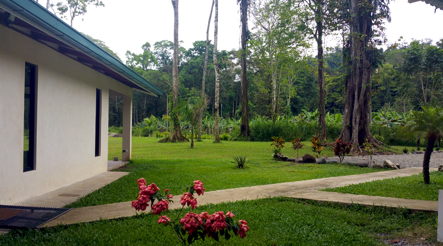 Costa Rica - Cahuita - Maison neuve 4 chambres - Une partie du parc de 3.000 m² (possibilité 15.000 m²)