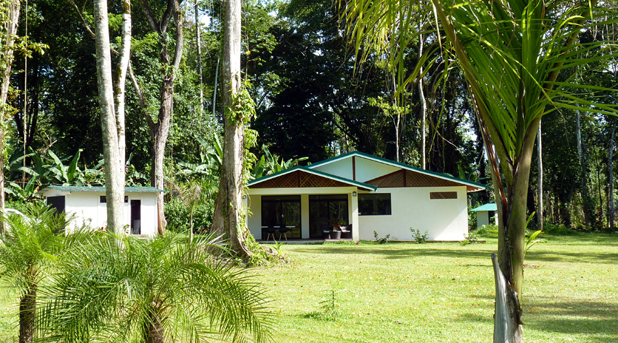 Costa Rica - Cahuita - Maison neuve 4 chambres - Vue d'ensemble - 2