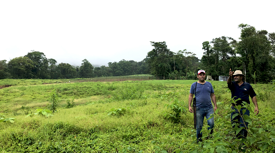 Finca de 22 hectares prs de Bijagua, nord du Costa Rica - Partie plane de plusieurs hectares pour constructions, agriculture, animaux ...