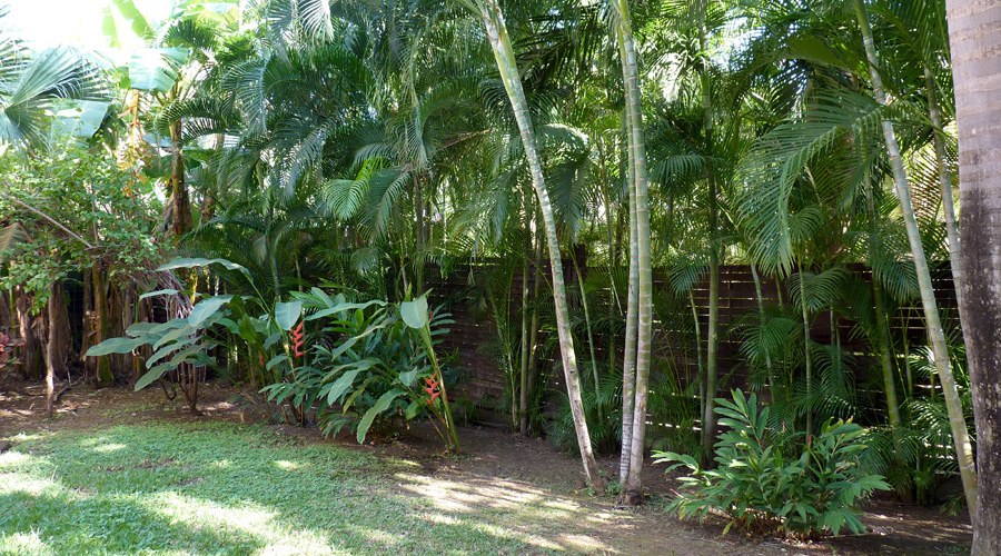 Jardin tropical entièrement clos et préservé des regards