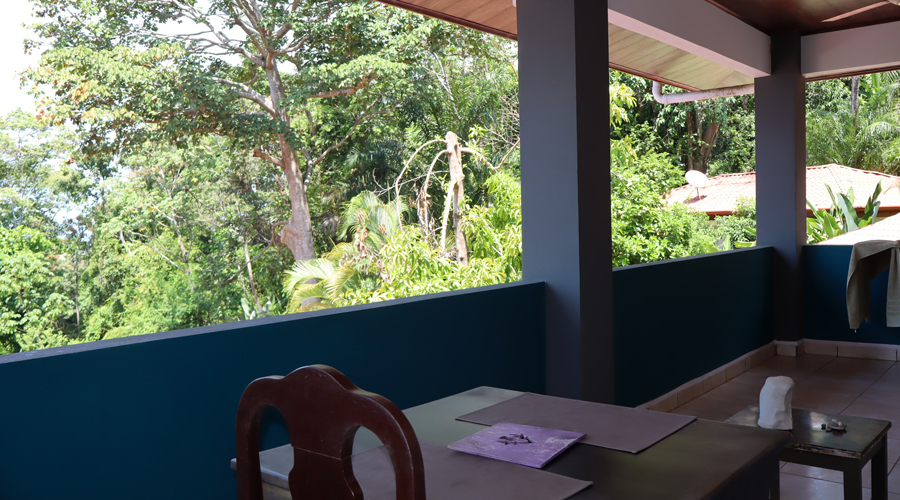 Costa Rica, Province Puntarenas, entre Quepos et Dominical, Hotel-Restaurant + 5 lodges - Appartement 1er tage - Terrasse 1